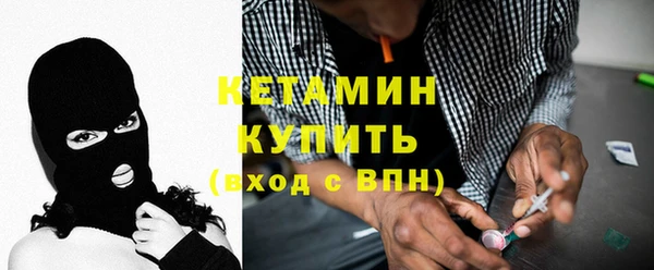 шишки Инта