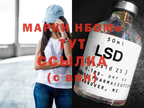 шишки Инта