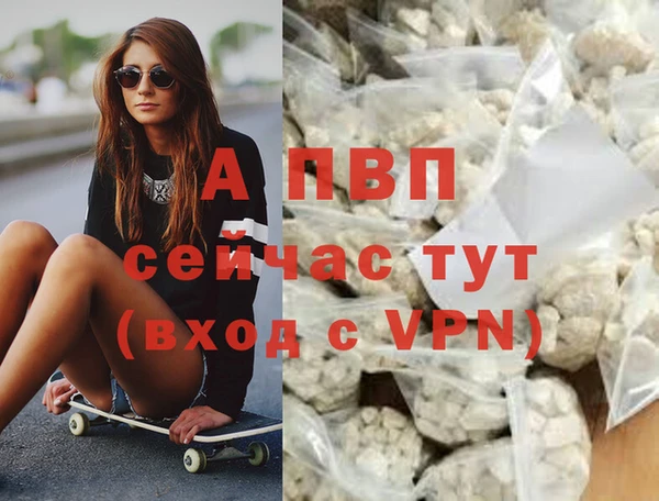 шишки Инта