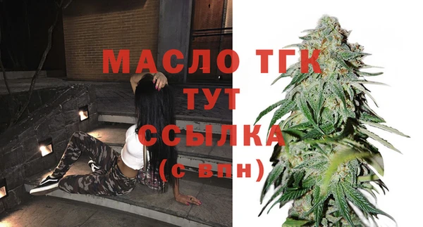 шишки Инта