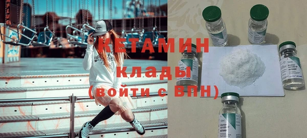 шишки Инта