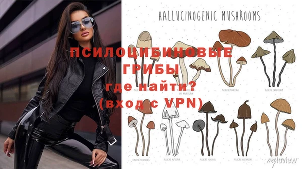 a pvp Иннополис