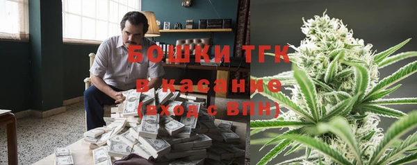 не бодяженный Инсар