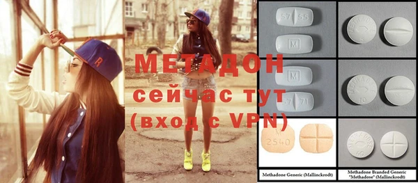 шишки Инта