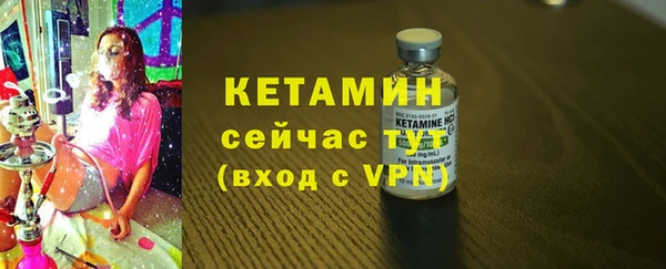 шишки Инта