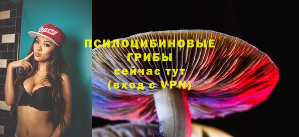 apvp Зеленокумск
