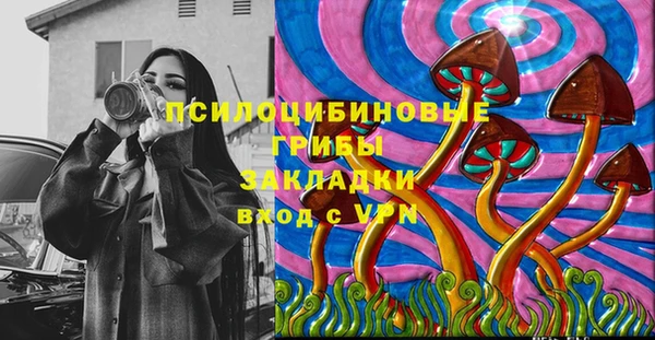 шишки Инта