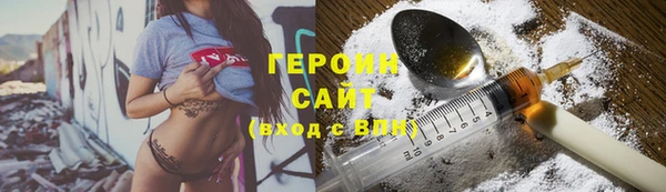 шишки Инта